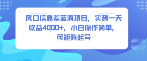 风口信息差蓝海项目,实测一天收益4k+,小白操作简单,可矩阵起号-知乎者也