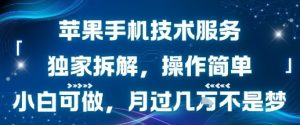 苹果手机技术服务，独家拆解，操作简单，小白可做，月过1W不是梦-知乎者也