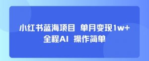小红书蓝海项目 单月变现1w+ 全程AI 操作简单-知乎者也