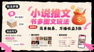 小说推文小红书多图文玩法，简单粗暴，万播收益3张-知乎者也