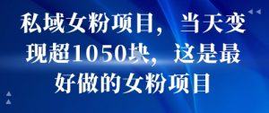 私域女粉项目，当天变现超1k，这是最好做的女粉项目，可放大操作-知乎者也