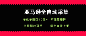 亚马逊全自动采集,单机单窗口一天10+,可无限矩阵去做【揭秘】-知乎者也