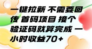 一键拉新 不需要回传 首码项目 接个验证码就算完成 一小时收益70+【揭秘】-知乎者也