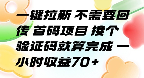 一键拉新 不需要回传 首码项目 接个验证码就算完成 一小时收益70+【揭秘】-知乎者也