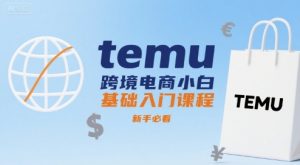 temu跨境电商小白基础入门课程，新手必看-知乎者也