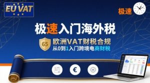 极速入门海外税,欧洲VAT财税合规,从0到1入门跨境电商财税-知乎者也