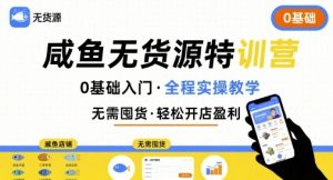 无货源特训营,0基础带你玩转咸鱼无货源-知乎者也