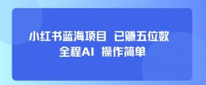 小红书蓝海项目，全程AI，操作简单，已挣五位数-知乎者也