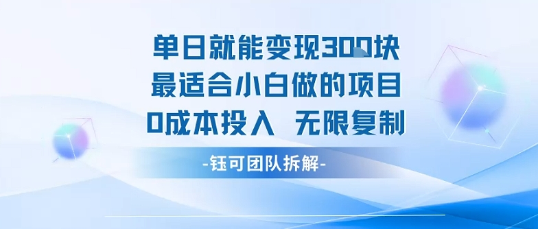单日就能变现3张最适合小白做的项目0成本投入 无限复制-知乎者也