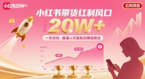 一年时间靠小红书带货项目年入20w+，最不能错的大红利项目-知乎者也