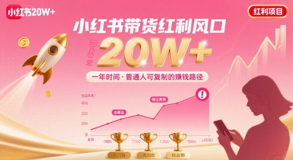 一年时间靠小红书带货项目年入20w+，最不能错的大红利项目-知乎者也