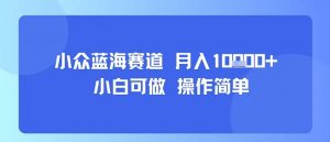 小众蓝海赛道，小白可做，操作简单，每天30分钟，月入1W+-知乎者也