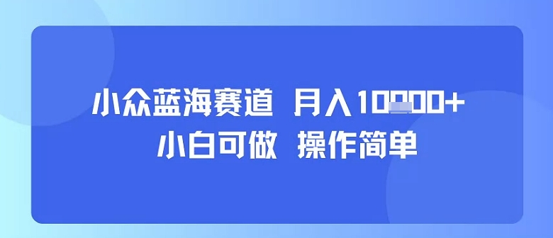小众蓝海赛道，小白可做，操作简单，每天30分钟，月入1W+-知乎者也