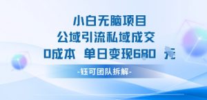 小白无脑项目公域引流私域成交0成本单日变现680米-知乎者也