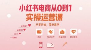 小红书电商从0到1实操运营课,从零开始,简单易学-知乎者也