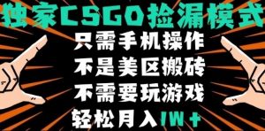 CSGO自动捡漏项目，最新独家玩法，不是美区搬砖，不需要了解和玩游戏，新手小白轻松月入1W+【揭秘】-知乎者也