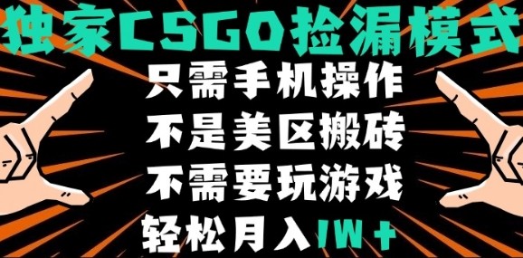 CSGO自动捡漏项目，最新独家玩法，不是美区搬砖，不需要了解和玩游戏，新手小白轻松月入1W+【揭秘】-知乎者也