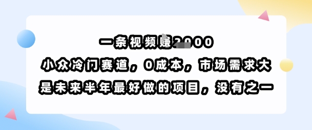 一条视频挣1k，小众冷门赛道，0成本，市场需求大，是未来半年最好做的项目，没有之一-知乎者也