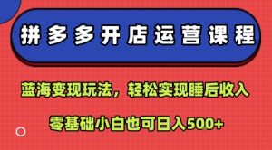 拼多多开店运营课程:蓝海变现玩法,轻松实现睡后收入,零基础小白也可日入5张-知乎者也