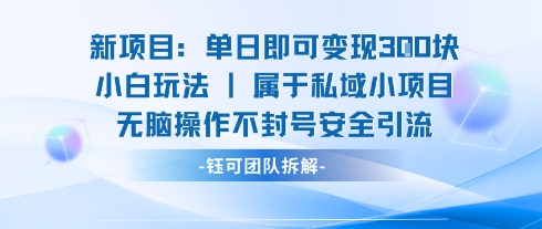 新项目单日即可变现3张的小白玩法无脑操作不封号安全引流-知乎者也