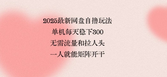 2025最新网盘自撸玩法,单机每天稳下3张,无需流量和拉人头,一个人就可轻松矩阵,全网独一份【揭秘】-知乎者也