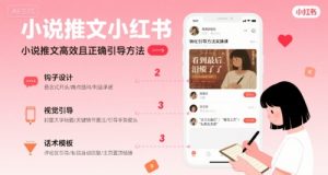 小说推文小红书高转化引导方法实操课，小说推文高效且正确引导方法-知乎者也