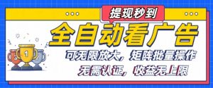 全自动看广告项目，可无限放大，可矩阵批量操作-知乎者也