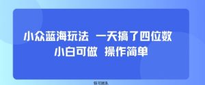 小众蓝海玩法 一天搞了四位数 小白可做 操作简单-知乎者也