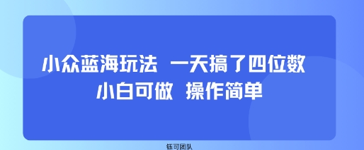 小众蓝海玩法 一天搞了四位数 小白可做 操作简单-知乎者也