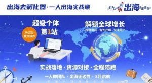 出海去孵化器，一人出海实战课，​超级个体第1站，解锁全球增长-知乎者也