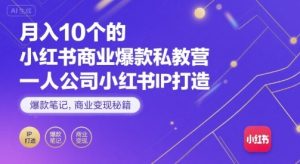 月入10个的小红书商业爆款私教营,一人公司小红书IP打造,爆款笔记,商业变现秘籍-知乎者也