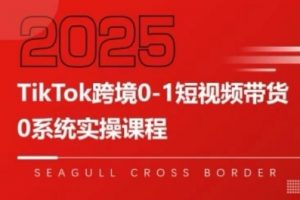 TikTok跨境0-1短视频带货，系统拆解TikTok跨境带货全链路，实现跨境可持续盈利-知乎者也