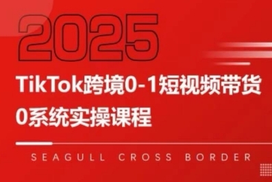 TikTok跨境0-1短视频带货，系统拆解TikTok跨境带货全链路，实现跨境可持续盈利-知乎者也