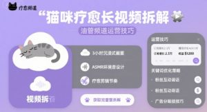 猫咪疗愈长视频拆解 &油管频道运营技巧-知乎者也