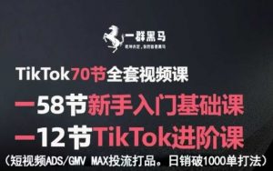 TikTok全套视频课,新手入门+进阶课,短视频ADS-GMV MAX投流打品,日销破1000单打法-知乎者也