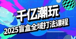 2025盲盒全域全套打法课,盲盒起号、选品、话术、私域等-知乎者也