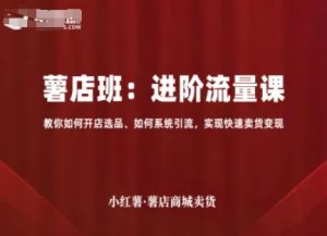 小红薯薯店商城卖货,进阶流量课,教你如何开店选品、如何系统引流,实现快速卖货变现-知乎者也