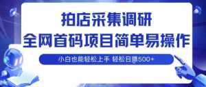 拍店采集调研,全网首码项目,简单易操作, 小白也能轻松上手,多账号操作,轻松日入5张【揭秘】-知乎者也