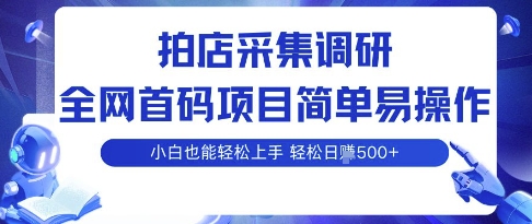 拍店采集调研,全网首码项目,简单易操作, 小白也能轻松上手,多账号操作,轻松日入5张【揭秘】-知乎者也