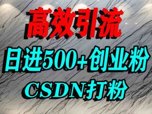 怎么打创业粉?CSDN又一个你不知道的打粉引流神秘平台,单人日引500+精准流量-知乎者也