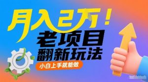月入2W！老项目翻新玩法，小白上手就能做，非常容易上手-知乎者也