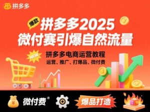 拼多多2025微付赛引爆自然流量，拼多多电商运营教程，运营、推广、打爆品、微付费-知乎者也