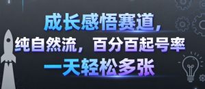 成长感悟赛道，纯自然流，百分百起号率 一天轻松多张-知乎者也