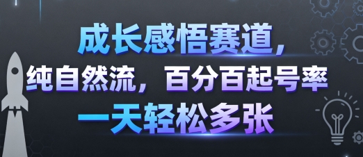 成长感悟赛道,纯自然流,百分百起号率 一天轻松多张-知乎者也
