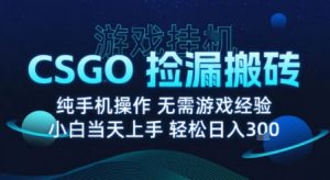 8月最新游戏搬砖,CSGO纯挂G,不需要玩游戏,实现真挂G,月入1W+【揭秘】-知乎者也