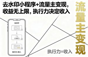 去水印小程序+流量主变现，收益无上限，执行力决定收入-知乎者也