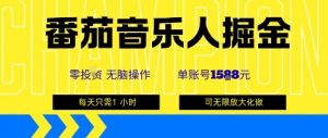番茄音乐人掘金，单账号最高可撸1k+，可无限矩阵去做，零投入-知乎者也