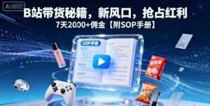 B站带货秘籍,新风口,抢占红利,7天2k+佣金【附SOP手册】-知乎者也