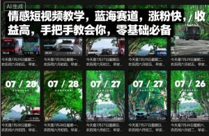 情感短视频教学，蓝海赛道，涨粉快，收益高，手把手教会你，零基础必备-知乎者也