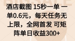 酒店截图项目,15秒一单,一单0.6米,每天任务无上限,全网首发可矩阵单日收益3张+【揭秘】-知乎者也
